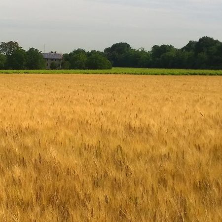 La Vigna Dei Peri Villa Quattro Castella Eksteriør billede